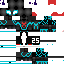 Texture for spider colorer