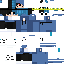 Texture for Rapha11