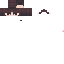 Texture for LeoHead
