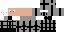 Texture for Skulker