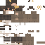 Texture for Bear3
