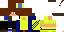 Texture for the toupycat
