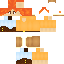 Texture for Robin