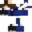 Texture for io