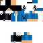 Texture for Steve