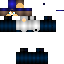 Texture for SKips
