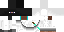 Texture for Rogue MountainNinja