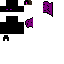 Texture for ender bat