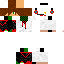 Texture for KingTurbo