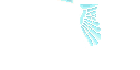 Texture for Kwolfs wings 