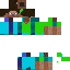 Texture for Steve 
