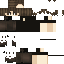 Texture for Fe