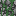 Texture for Pedregulho com musgo