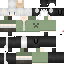 Texture for しゃち