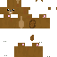 Texture for THE SQUIRREL