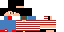 Texture for Sim