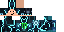 Texture for HPcrafter11