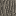 Texture for mod akasya kütüğü