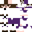Texture for choso 2