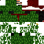 Texture for bhs2