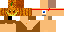 Texture for ninja