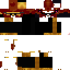Texture for Leo