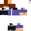Texture for SubduedKnight