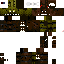 Texture for Springfreddy