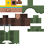 Texture for Expert Nitwit