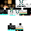 Texture for STEVE