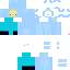 Texture for minikduck