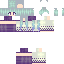 Texture for Steve