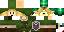 Texture for Link