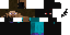 Texture for ninja