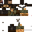 Texture for Joel
