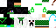 Texture for leo