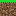 Texture for Grass Block