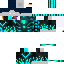 Texture for Ferdinand F12