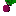 Texture for Beetroot