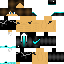 Texture for steve
