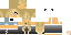 Texture for Intro skin