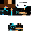 Texture for constant