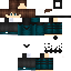 Texture for Phantom