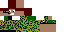 Texture for commandor-Steve