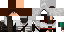 Texture for макс