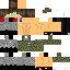 Texture for Blit Hawsthorne
