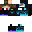 Texture for steve