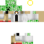 Texture for creeper sully