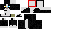Texture for Black and white dog