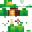 Texture for Turtle